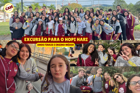 Imagem Notícia